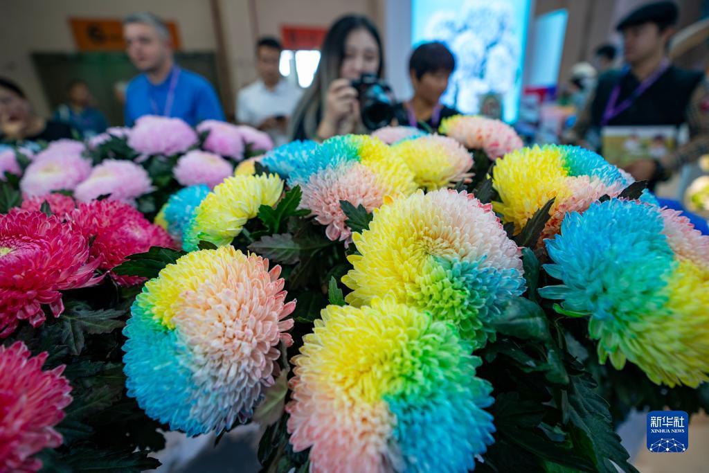 奔驰宝马游戏电玩城